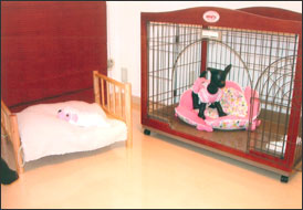 hotel_02